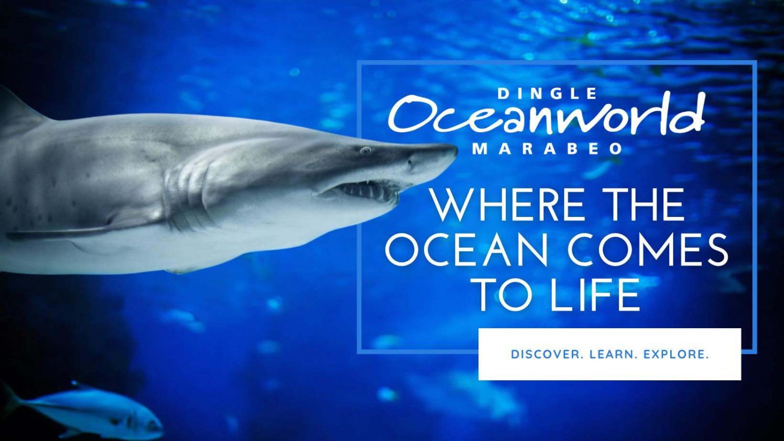 481809004 962133329423838 6292929479438677866 n