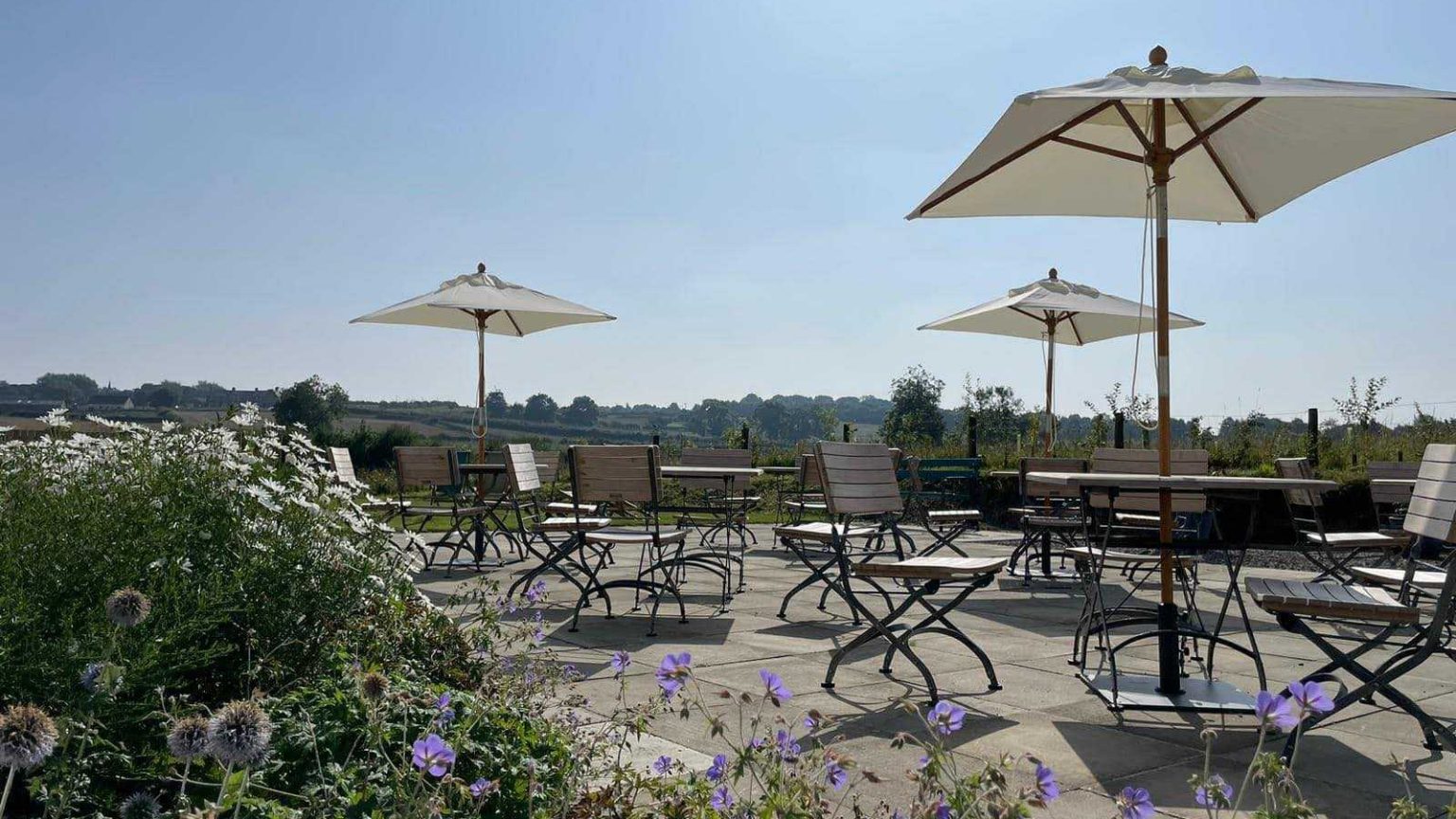 496120678 1252721663526331 6499166096447824428 n