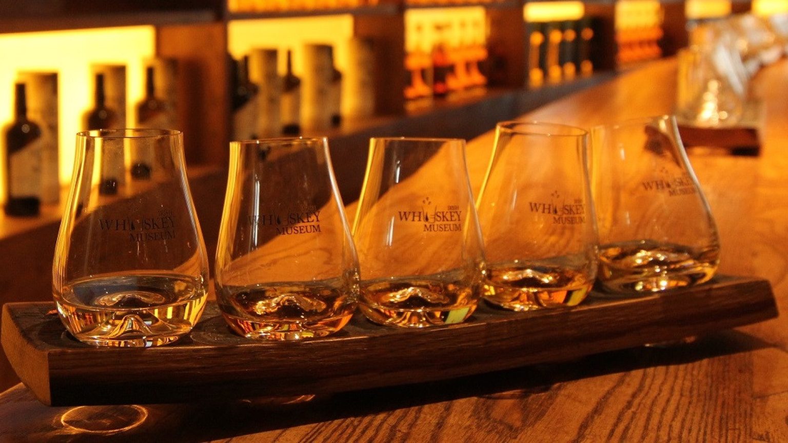 505413842 4084709621742609 1392166166560285766 n