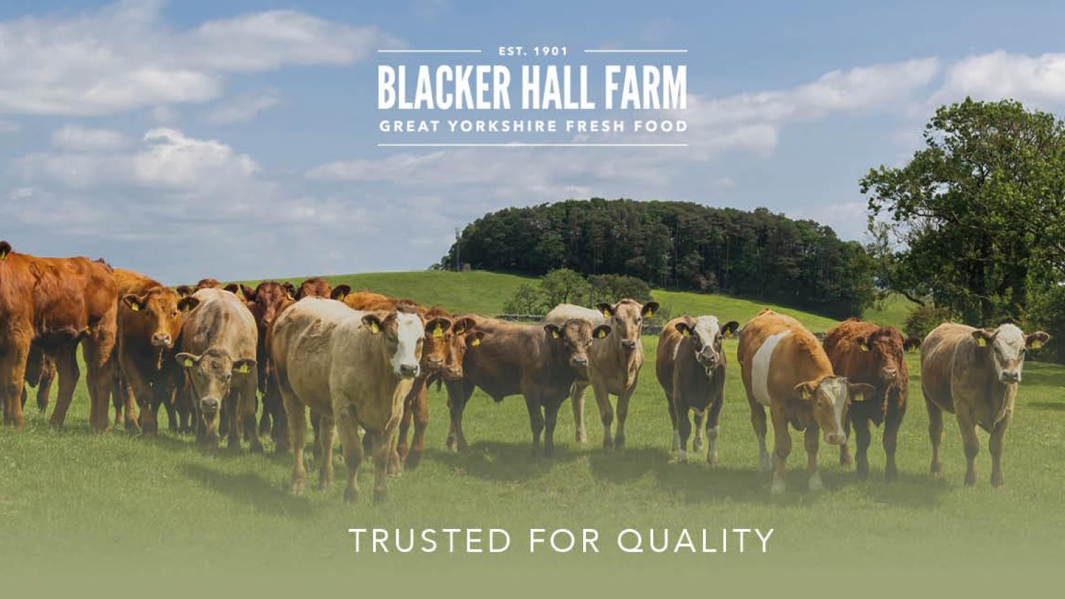 Blacker Hall Farm Shop