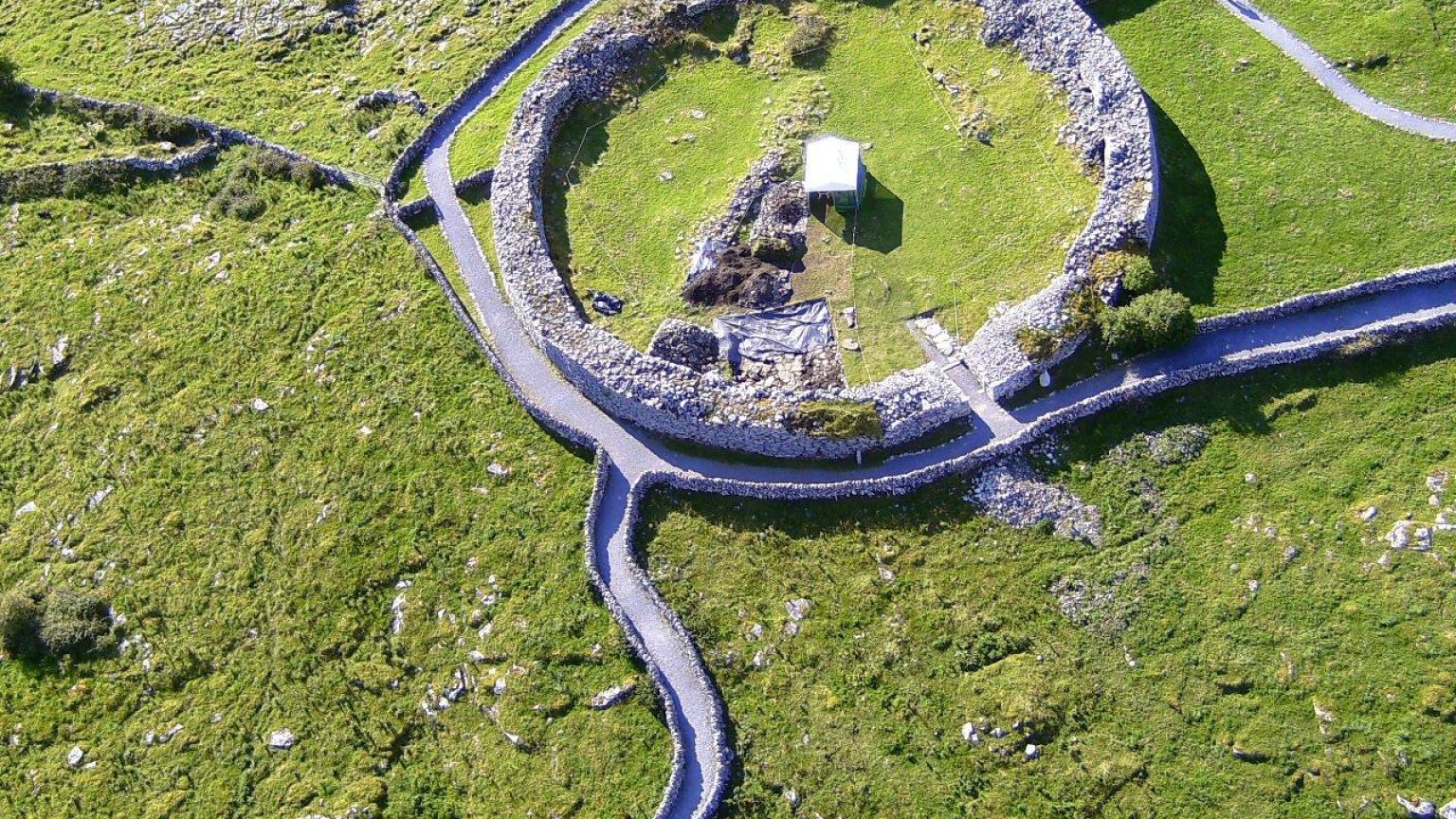 Caherconnell Fort & Sheepdog Demonstrations