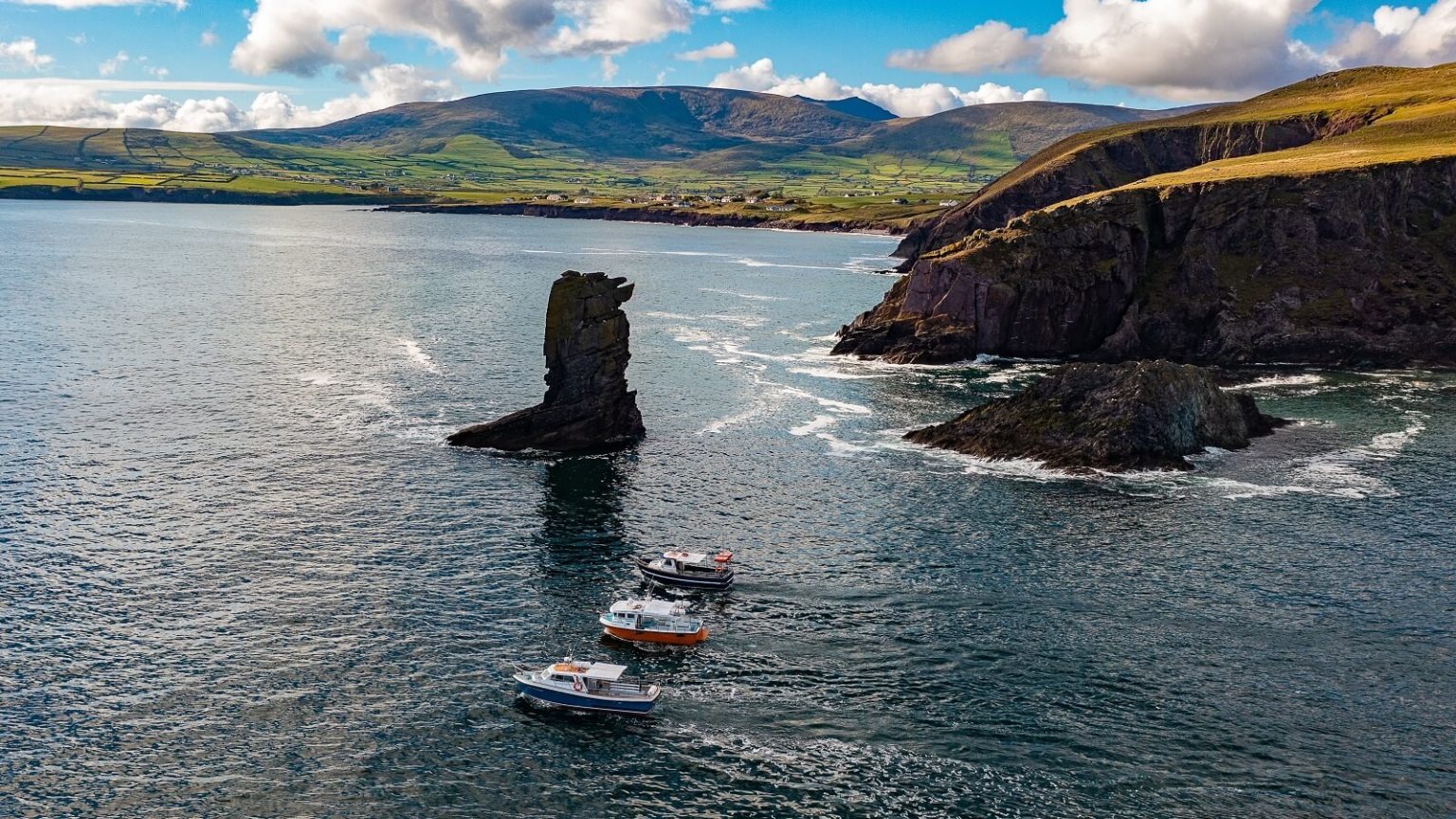 Dingle Dolphin Boat Tours 2