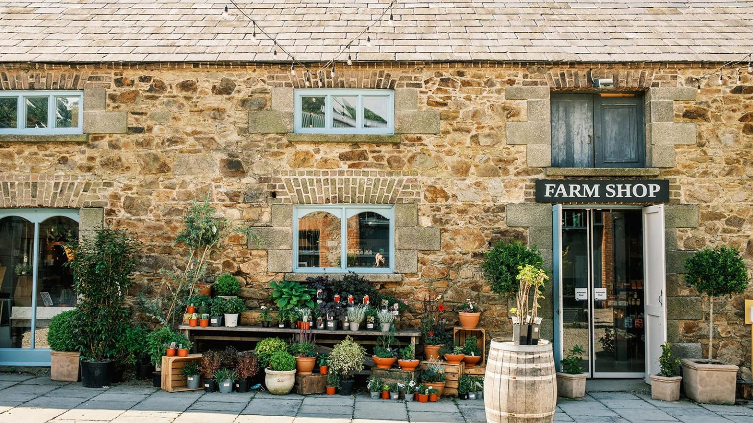 Farm Shop Cafe 2