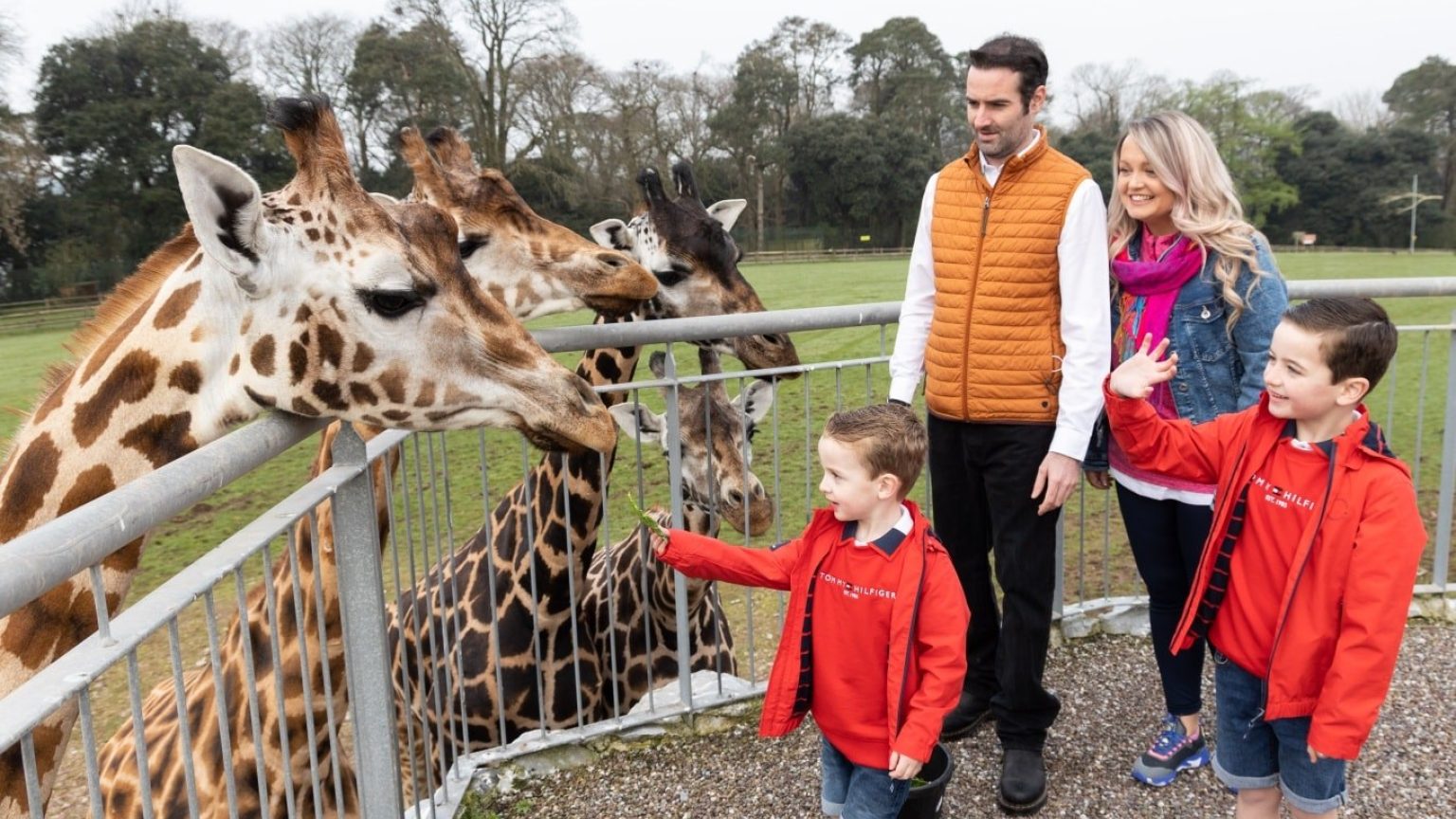 Fota Wildlife Park 10