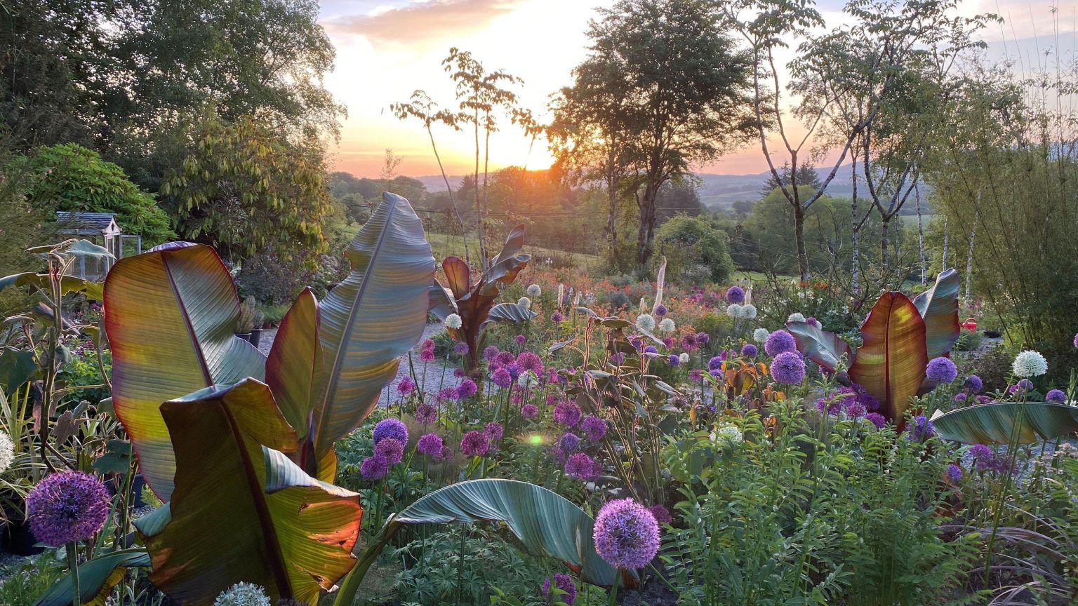 Hunting Brook Garden 5