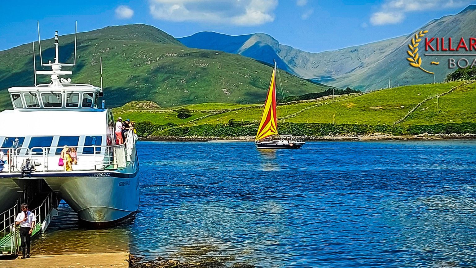 Killary Fjord Boat Tours 9