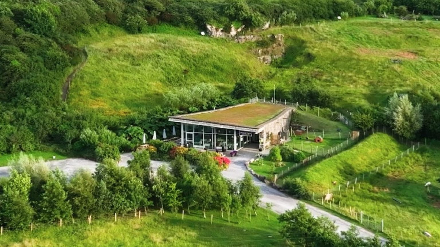 Marewrsk group e1701175613783