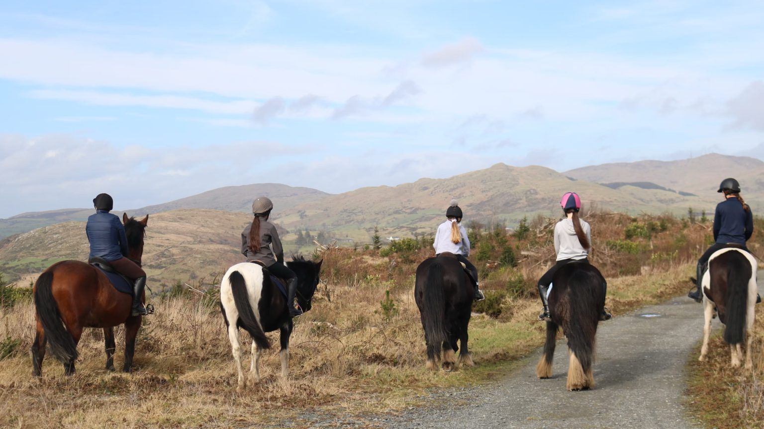 Mount Pleasant Equestrian Centre 9
