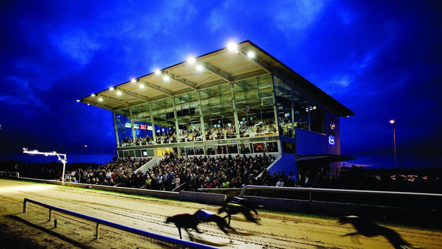 Newbridge Greyhound Stadium