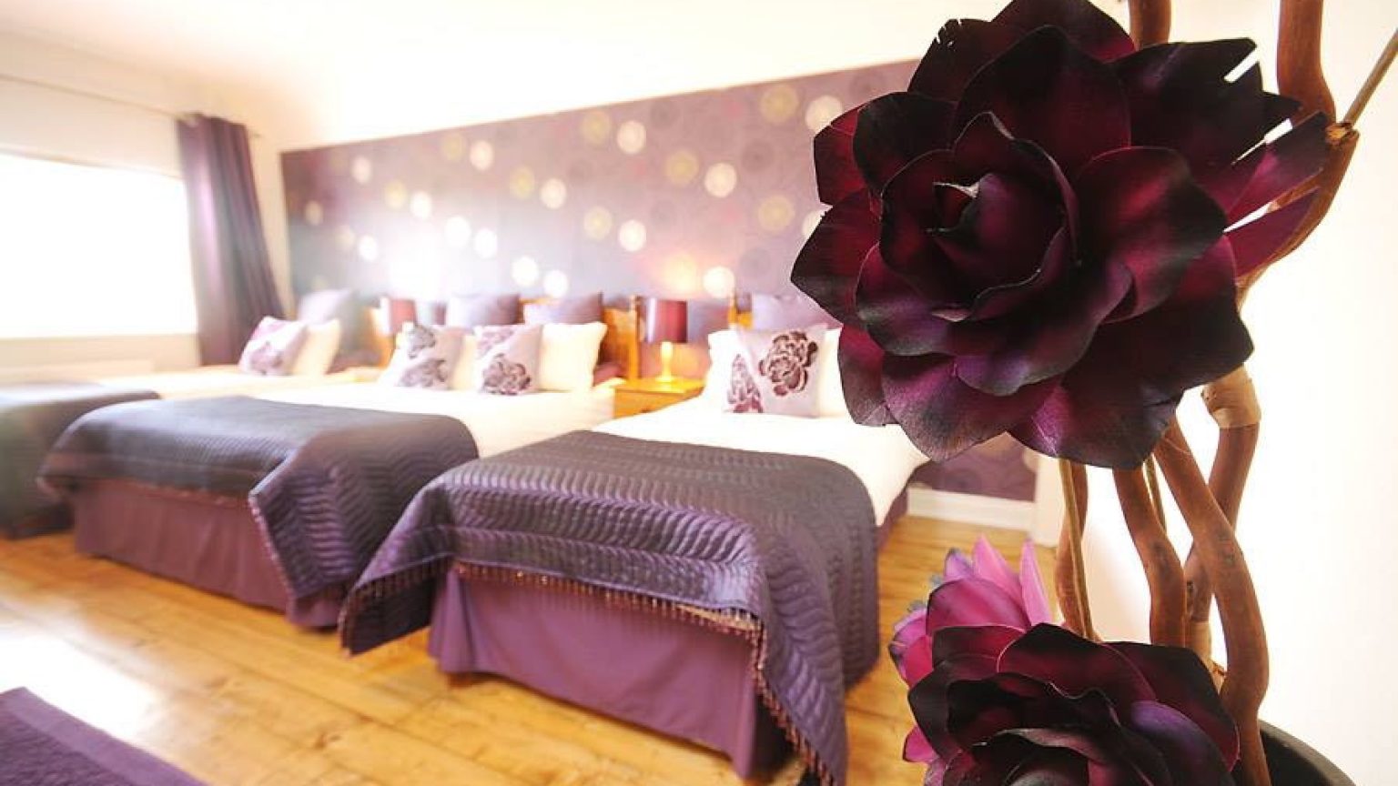 Stirabout Lane Bed Breakfast 1