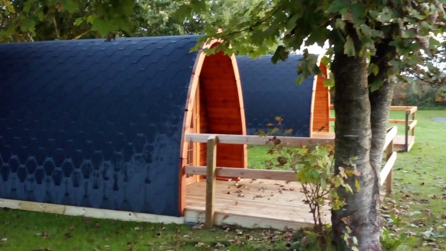 Tree Grove Camping & Glamping