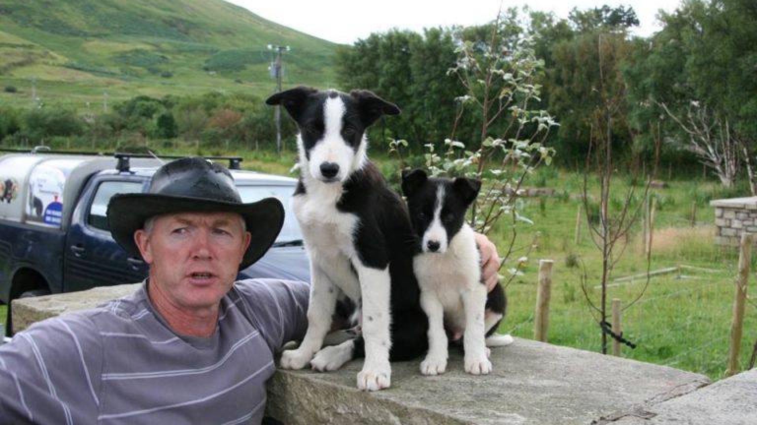 Activities joyce country sheepdogs 768x512