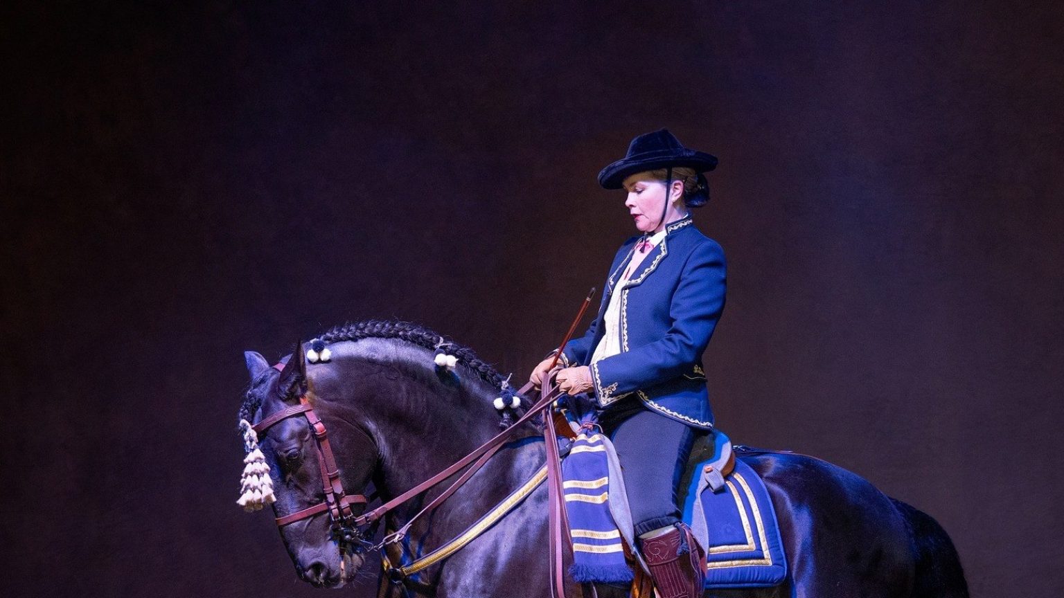 Bravo – The Equestrian Theatre Spectacle