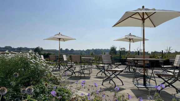 496120678 1252721663526331 6499166096447824428 n