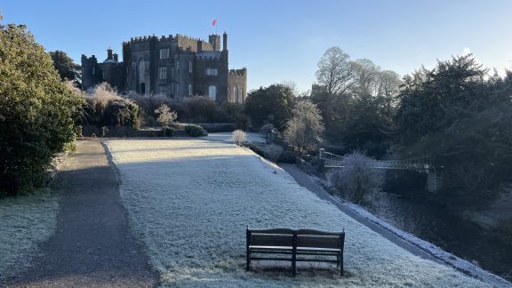 603891259 1194398532791622 5025594627132981524 n