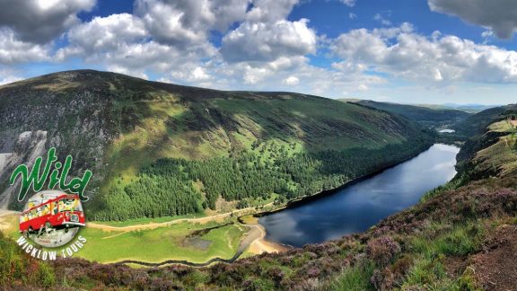 86501292 3508430352531706 5877119761925537792 n