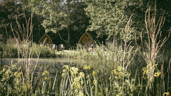Bluebell Retreat Glamping 1