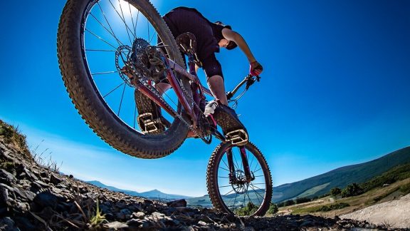 Gap Glencullen Adventure Park 1