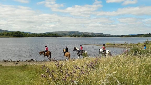 Moorlands Equestrian Centre 7