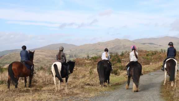 Mount Pleasant Equestrian Centre 9