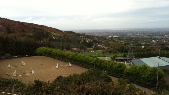 The Paddocks Riding Centre 8