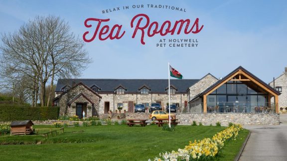 The Tea Rooms at the Pet Cemetary tmb