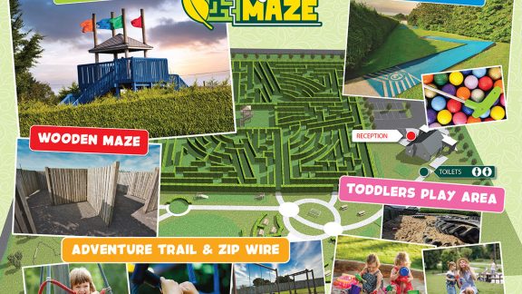 Maze main for web FINAL Artboard 5 copy