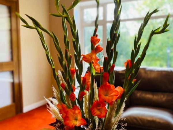 475028759 9771097816253345 123574310251213430 n