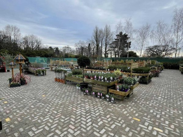 486963451 1208019621326749 4010867217680393401 n