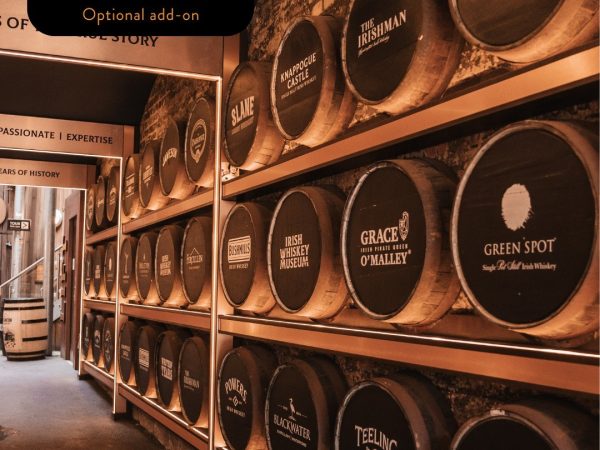 492139682 1282799590020470 8835478930371193192 n