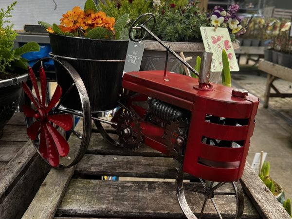 494051454 1237887591673285 6970759241304573654 n