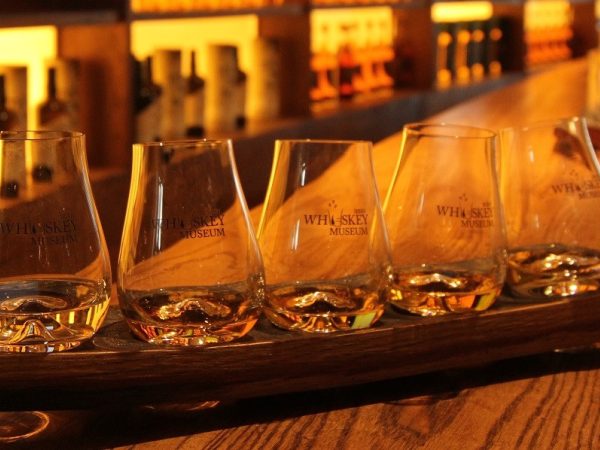 505413842 4084709621742609 1392166166560285766 n