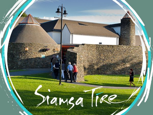 515099244 1136060765228771 6103104530751866441 n