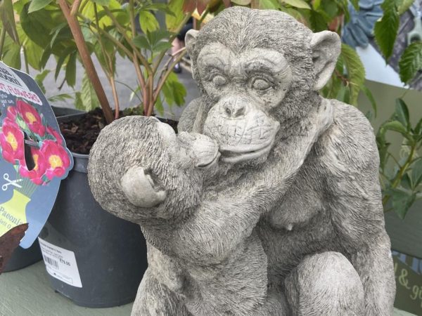 533379793 1302635198533988 5489489688835445253 n