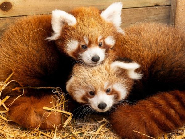 555058404 1202571325233024 4466460362043151448 n