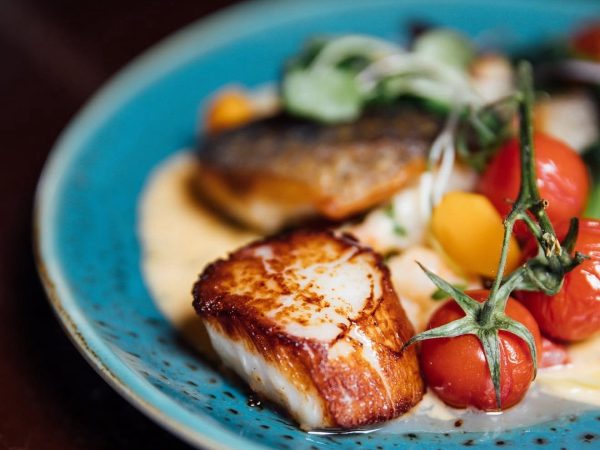 582717873 1240775661419840 5198891599151191158 n