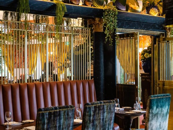 627961503 1396994379107638 8663107395981703912 n