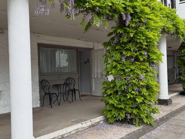 Annandale Arms Hotel 10
