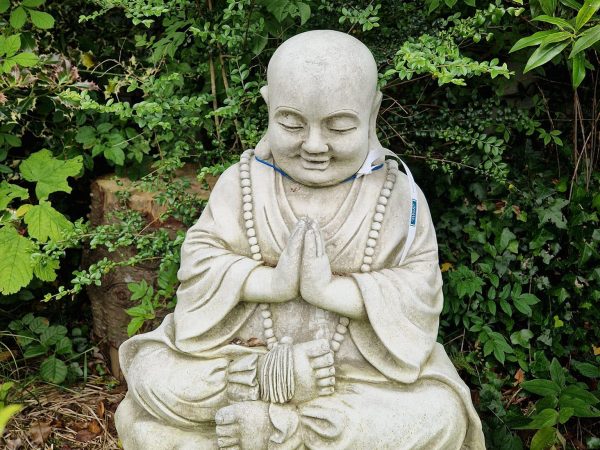 Annetts Garden Centre 12