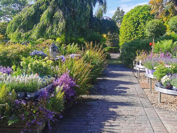 Annetts Garden Centre 1