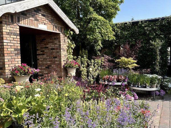 Annetts Garden Centre 3