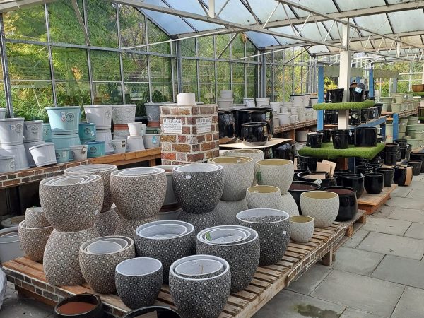 Annetts Garden Centre 5