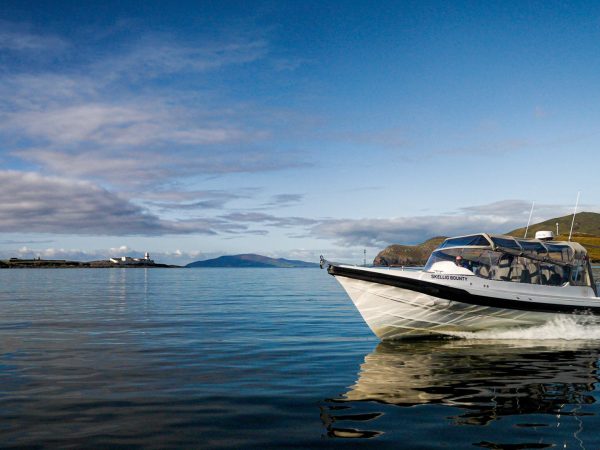 Aqua Terra Boat Tours 11