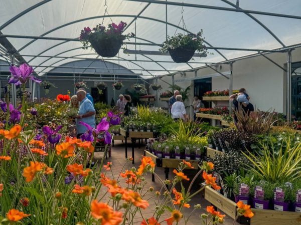 Ashvale Farm Shop 18