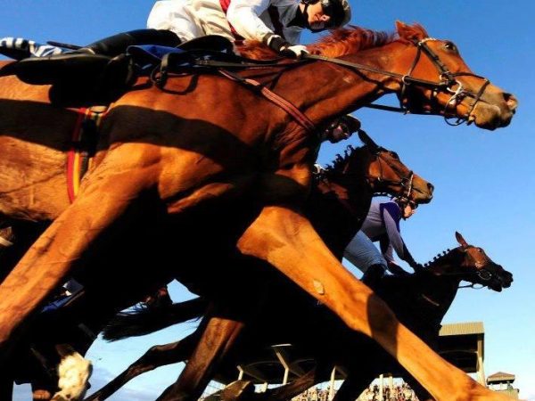 Ballinrobe Racecourse 11