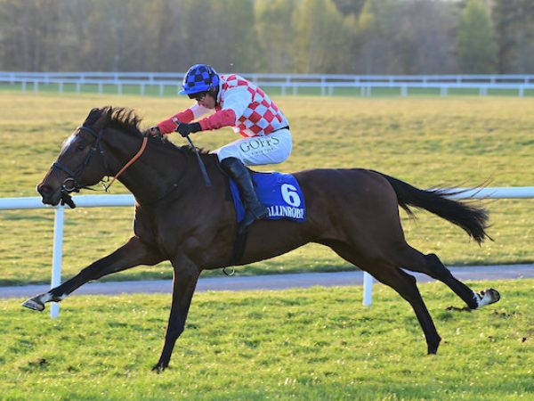 Ballinrobe Racecourse 3