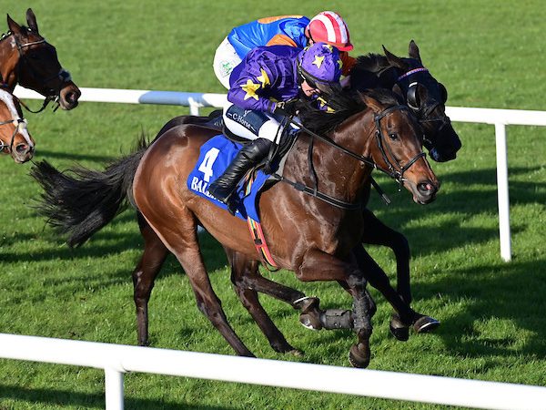 Ballinrobe Racecourse 4