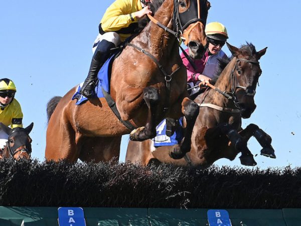 Ballinrobe Racecourse 5