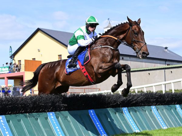 Ballinrobe Racecourse 7