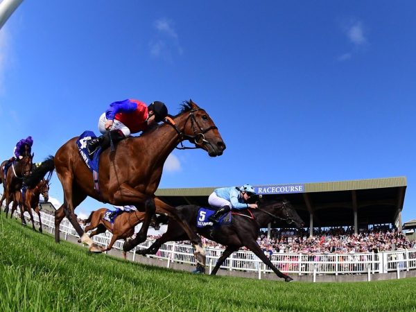 Ballinrobe Racecourse 8